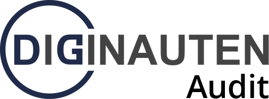 Diginauten Audit
